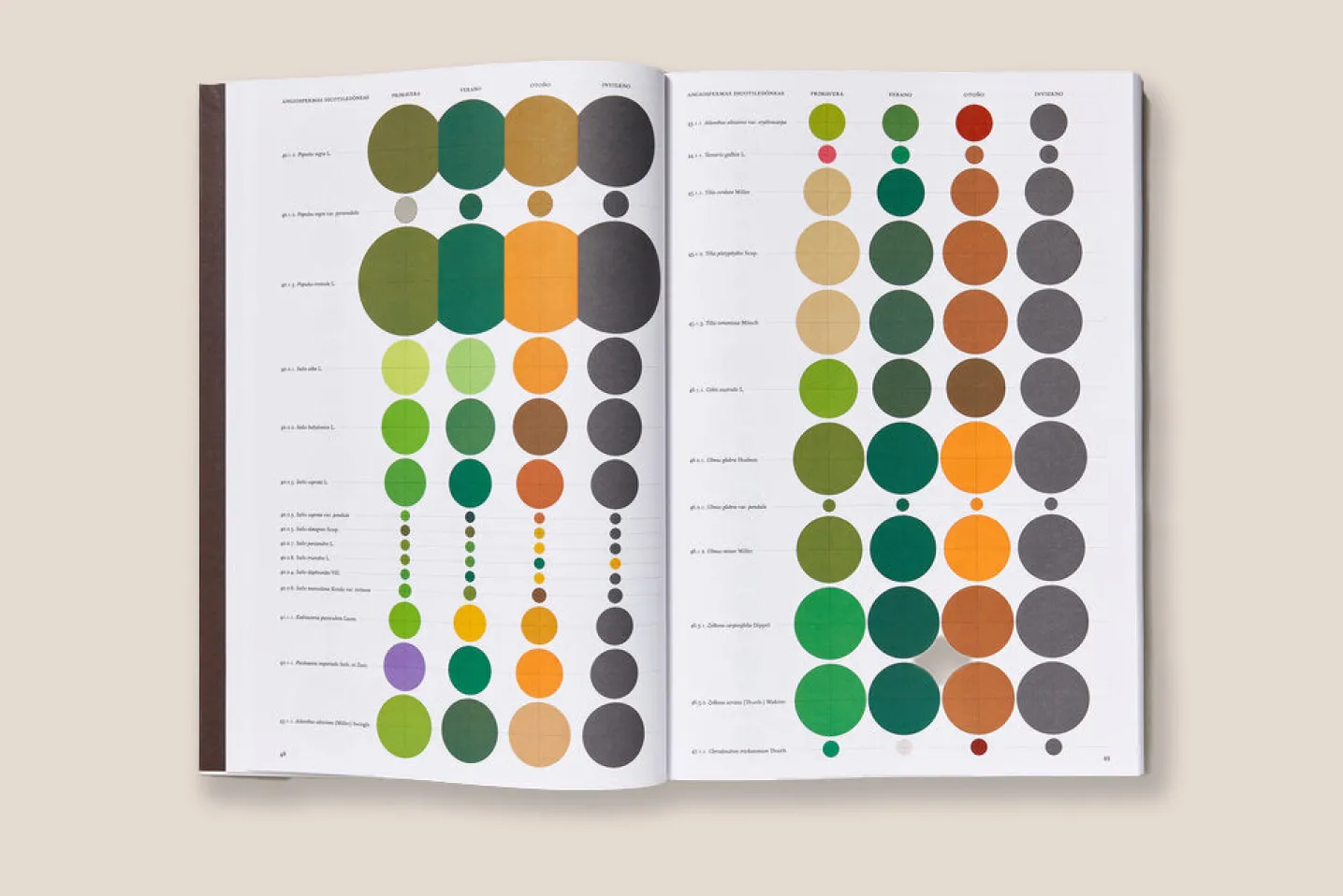 LA ARQUITECTURA DE LOS ÁRBOLES