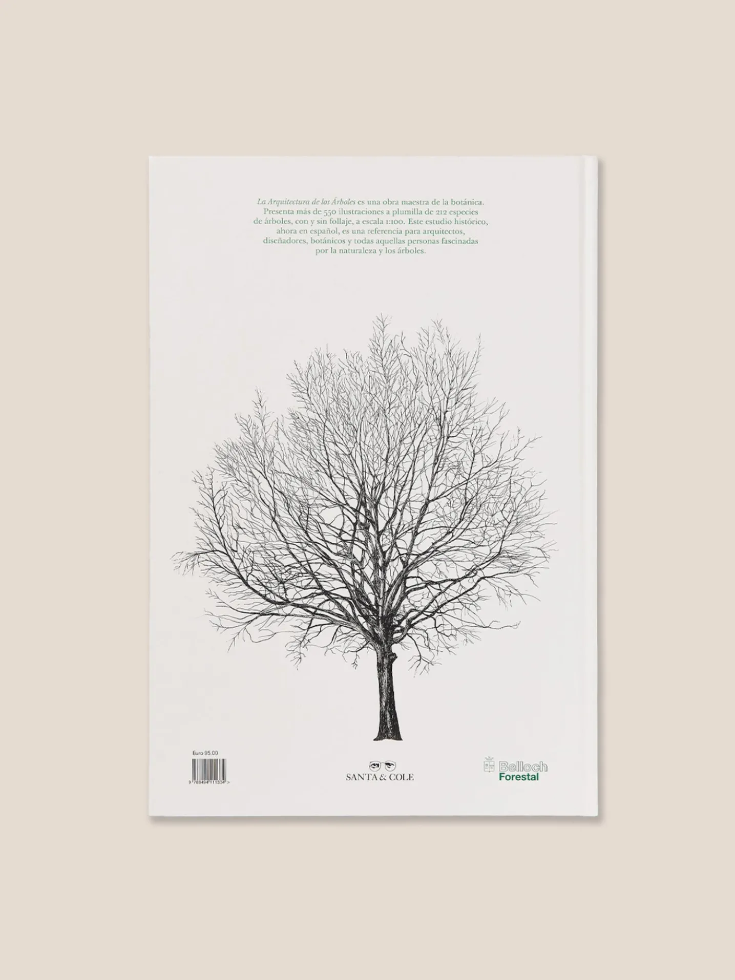 LA ARQUITECTURA DE LOS ÁRBOLES